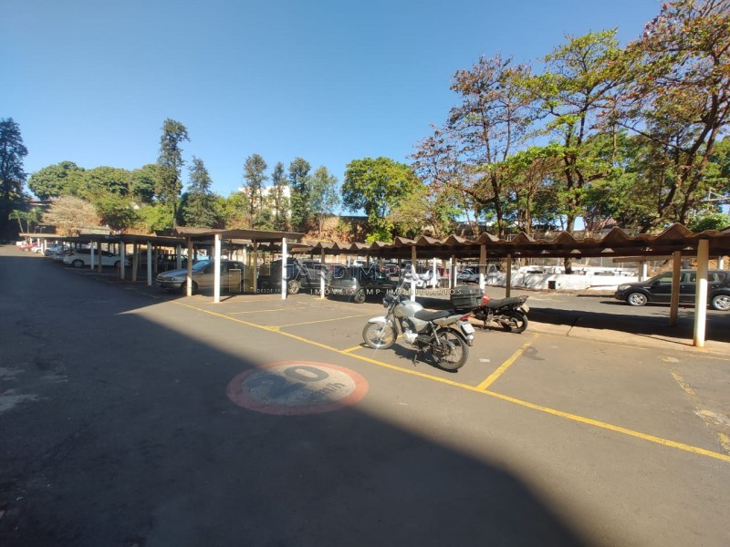 Jardim Paulista Imóveis - Imobiliária em Ribeirão Preto - SP - Apartamento - Jardim Palma Travassos - Ribeirão Preto