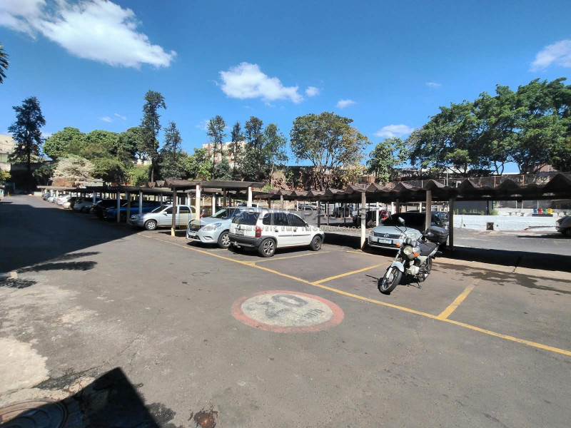 Jardim Paulista Imóveis - Imobiliária em Ribeirão Preto - SP - Apartamento - Jardim Palma Travassos - Ribeirão Preto